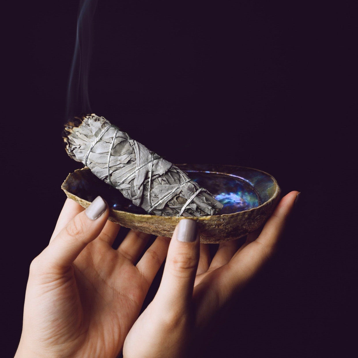 White Sage Smudge Sticks