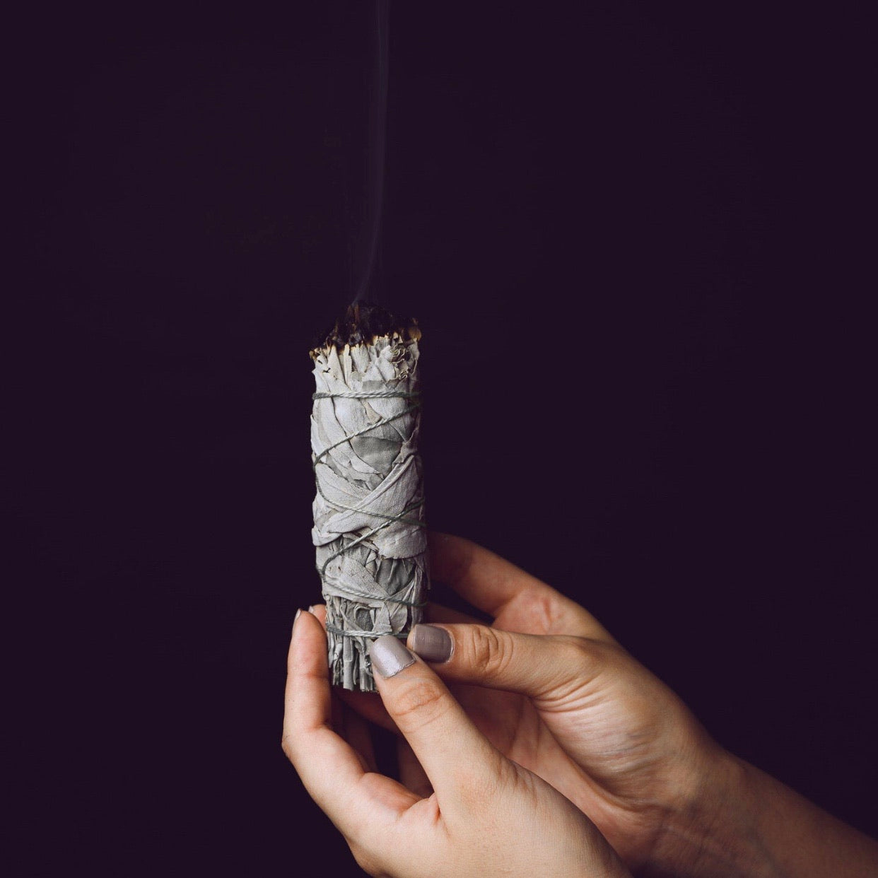 White Sage Smudge Sticks